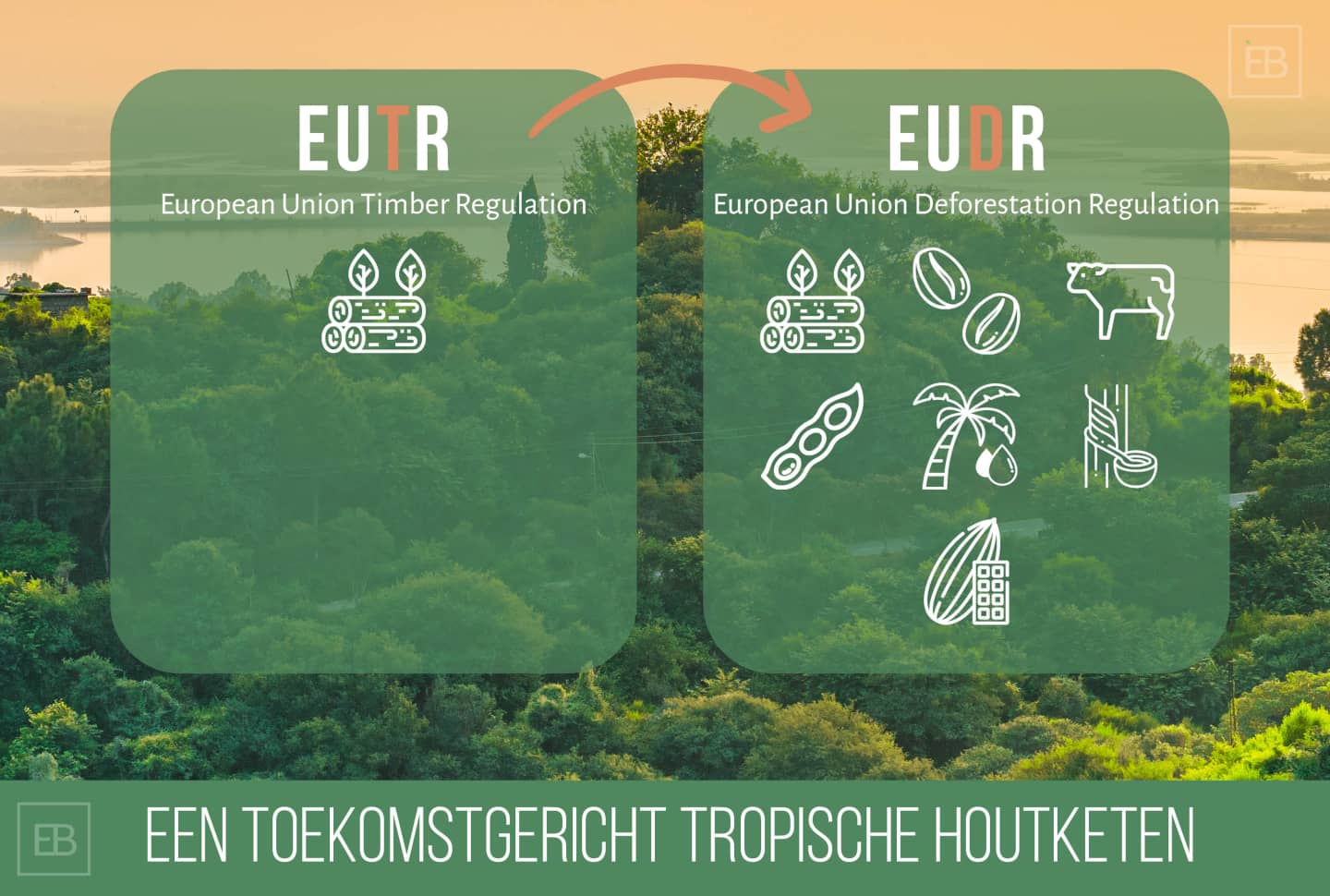 EUDR: EU Deforestation free Regulation