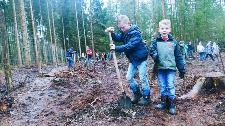 Voor elk groepslid een boom!