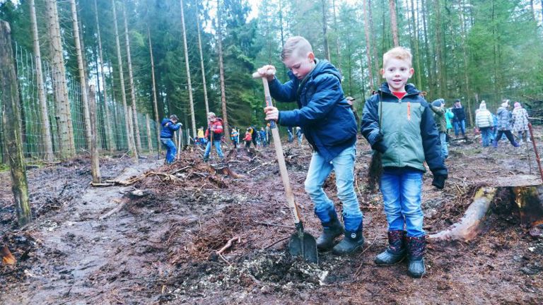 Voor elk groepslid een boom! Voor elk groepslid een boom!