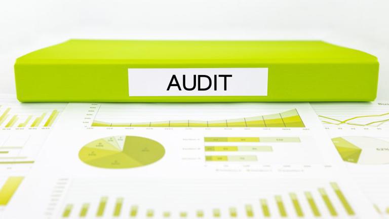 NEPCon voert audit uit bij IEB