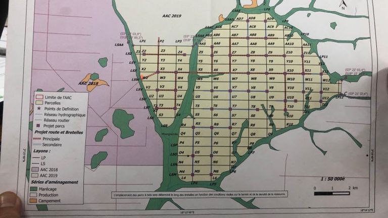 Duurzaam bosbeheer uitgelegd Duurzaam bosbeheer uitgelegd